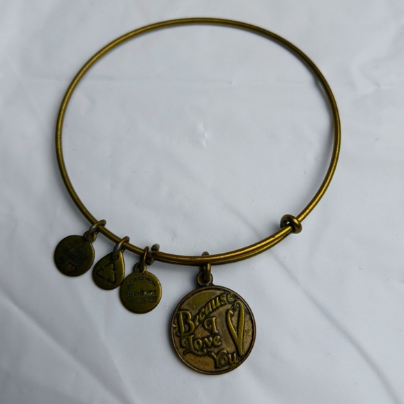 Alex and Ani 2014 'Because I Love You' Charm‎ Bangle Bracelet - Picture 1 of 3